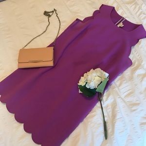 J Crew scalloped dress